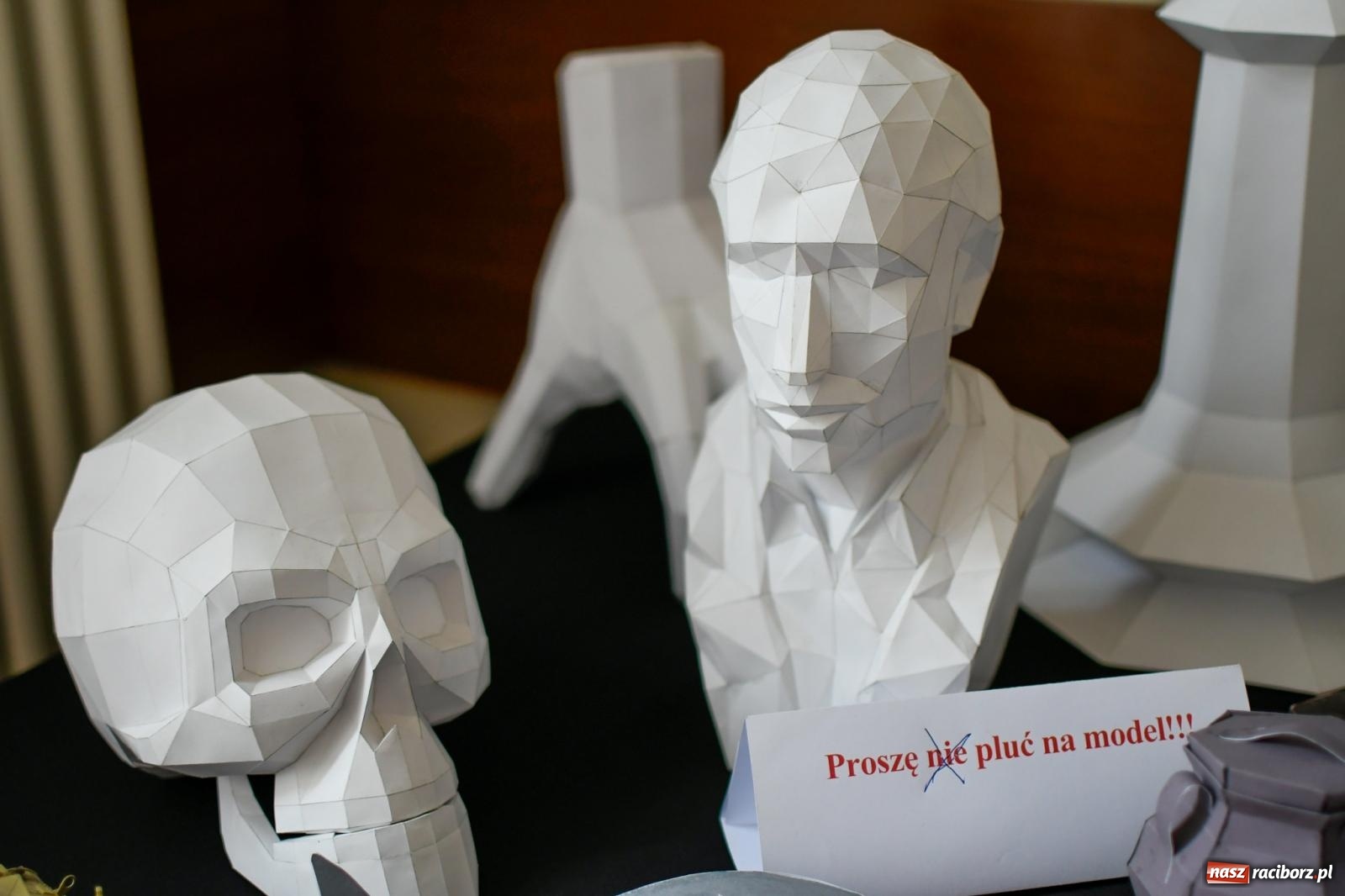 Zdjęcie w galerii na portalu naszraciborz.pl: Skrzydlatek open. Dwudniowe spotkania z modelarstwem w RCK wiadomości z regionu