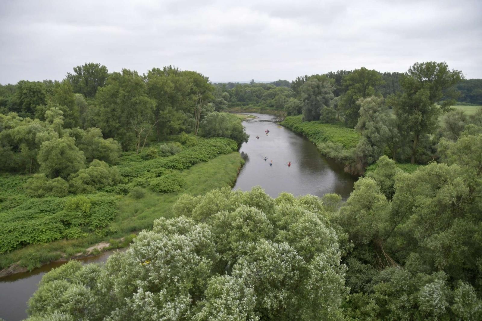 Zdjęcie w galerii na portalu naszraciborz.pl: Graniczne Meandry Odry oficjalnie otwarte wiadomości z regionu