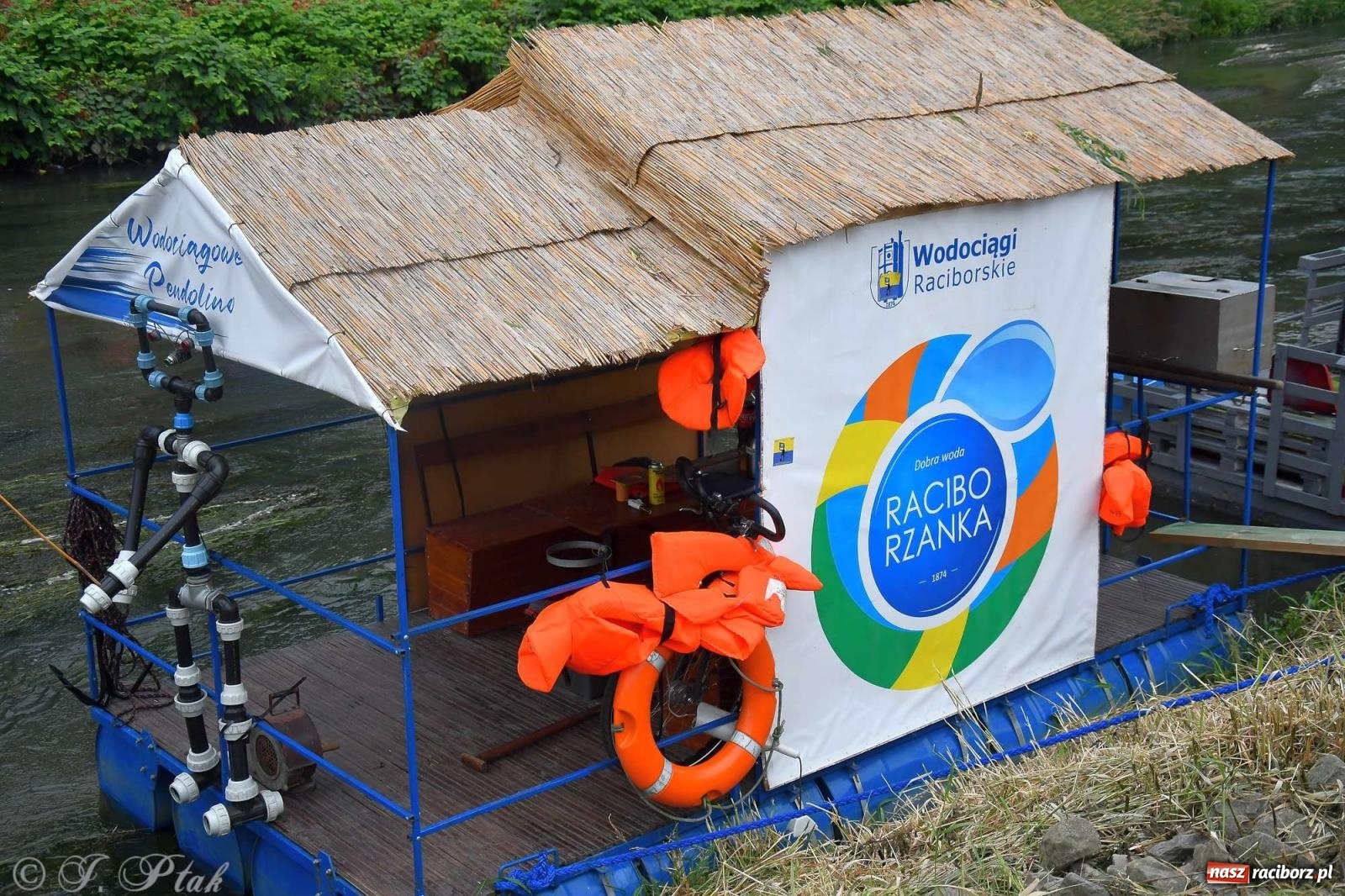 Zdjęcie w galerii na portalu naszraciborz.pl: Morsy, statki i łodzie. Pływadło na bis! wiadomości z regionu