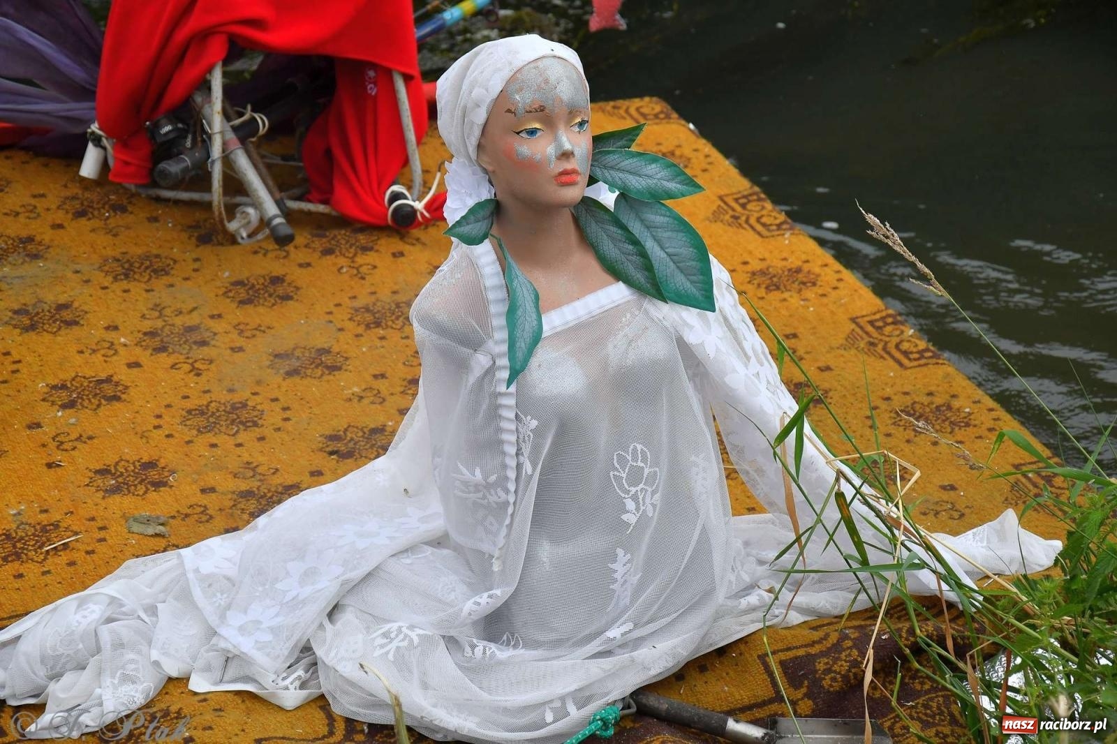 Zdjęcie w galerii na portalu naszraciborz.pl: Morsy, statki i łodzie. Pływadło na bis! wiadomości z regionu