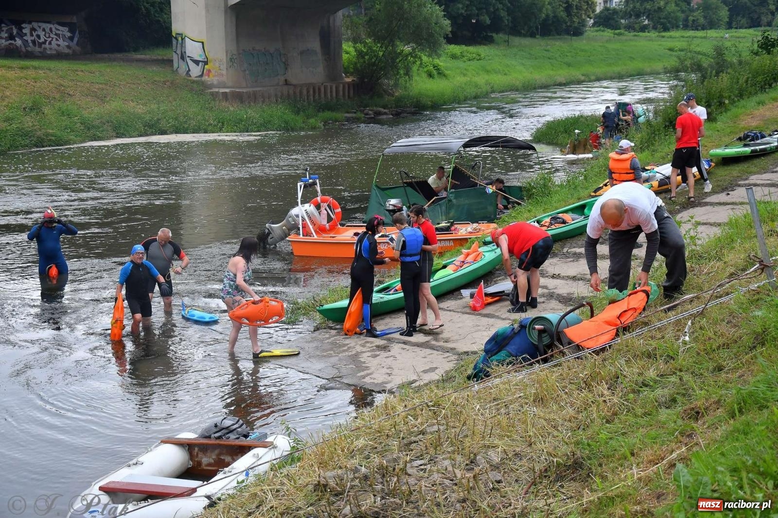 Zdjęcie w galerii na portalu naszraciborz.pl: Morsy, statki i łodzie. Pływadło na bis! wiadomości z regionu