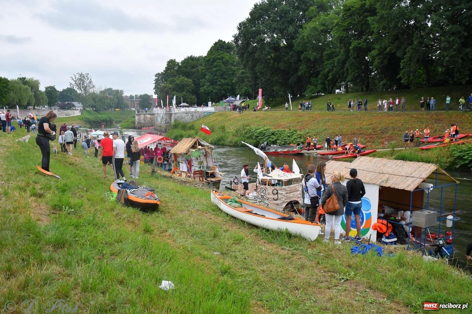 Zdjęcie w galerii na portalu naszraciborz.pl: Morsy, statki i łodzie. Pływadło na bis! wiadomości z regionu