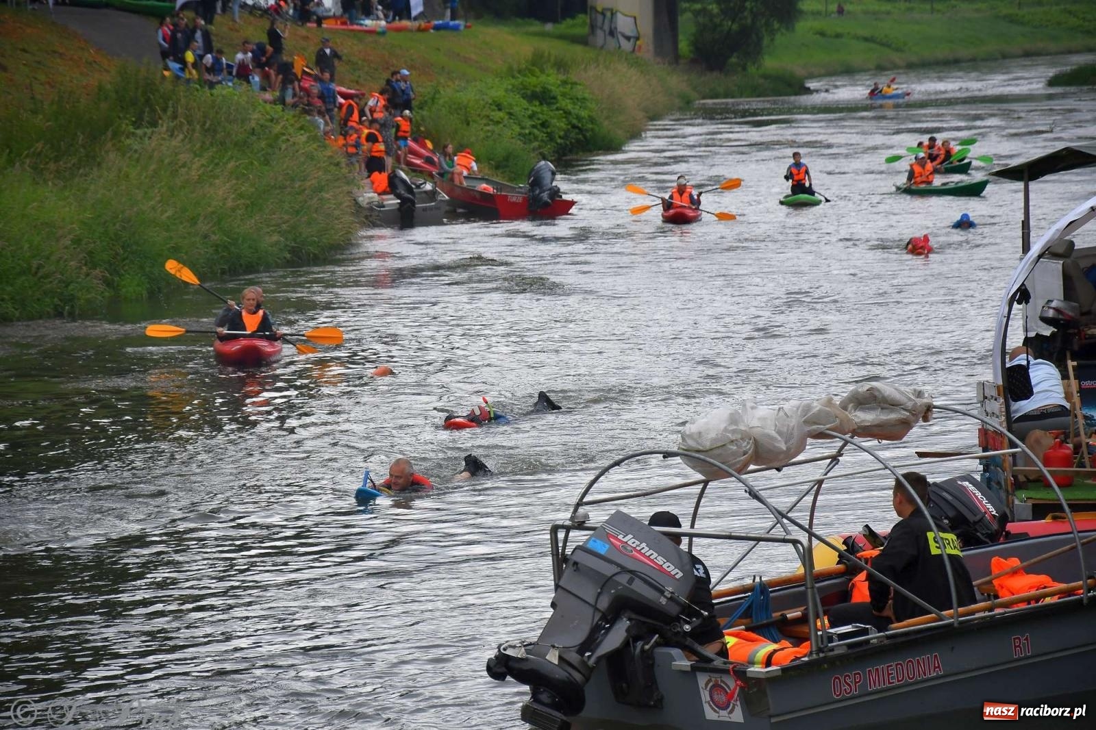 Zdjęcie w galerii na portalu naszraciborz.pl: Morsy, statki i łodzie. Pływadło na bis! wiadomości z regionu