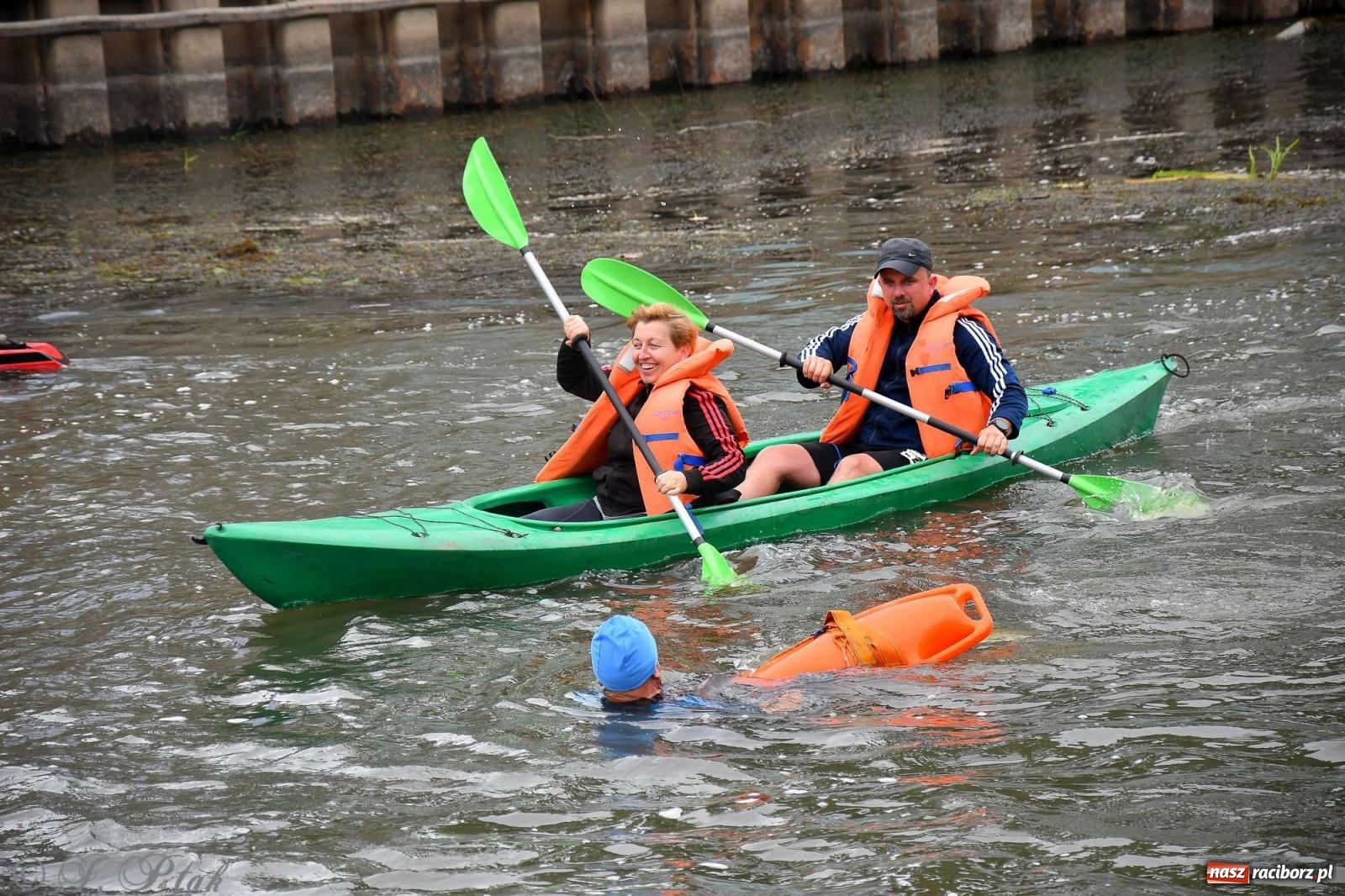 Zdjęcie w galerii na portalu naszraciborz.pl: Morsy, statki i łodzie. Pływadło na bis! wiadomości z regionu