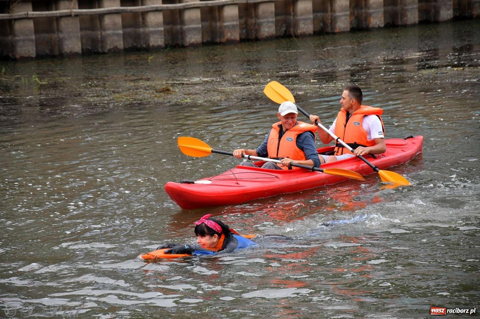 Zdjęcie w galerii na portalu naszraciborz.pl: Morsy, statki i łodzie. Pływadło na bis! wiadomości z regionu