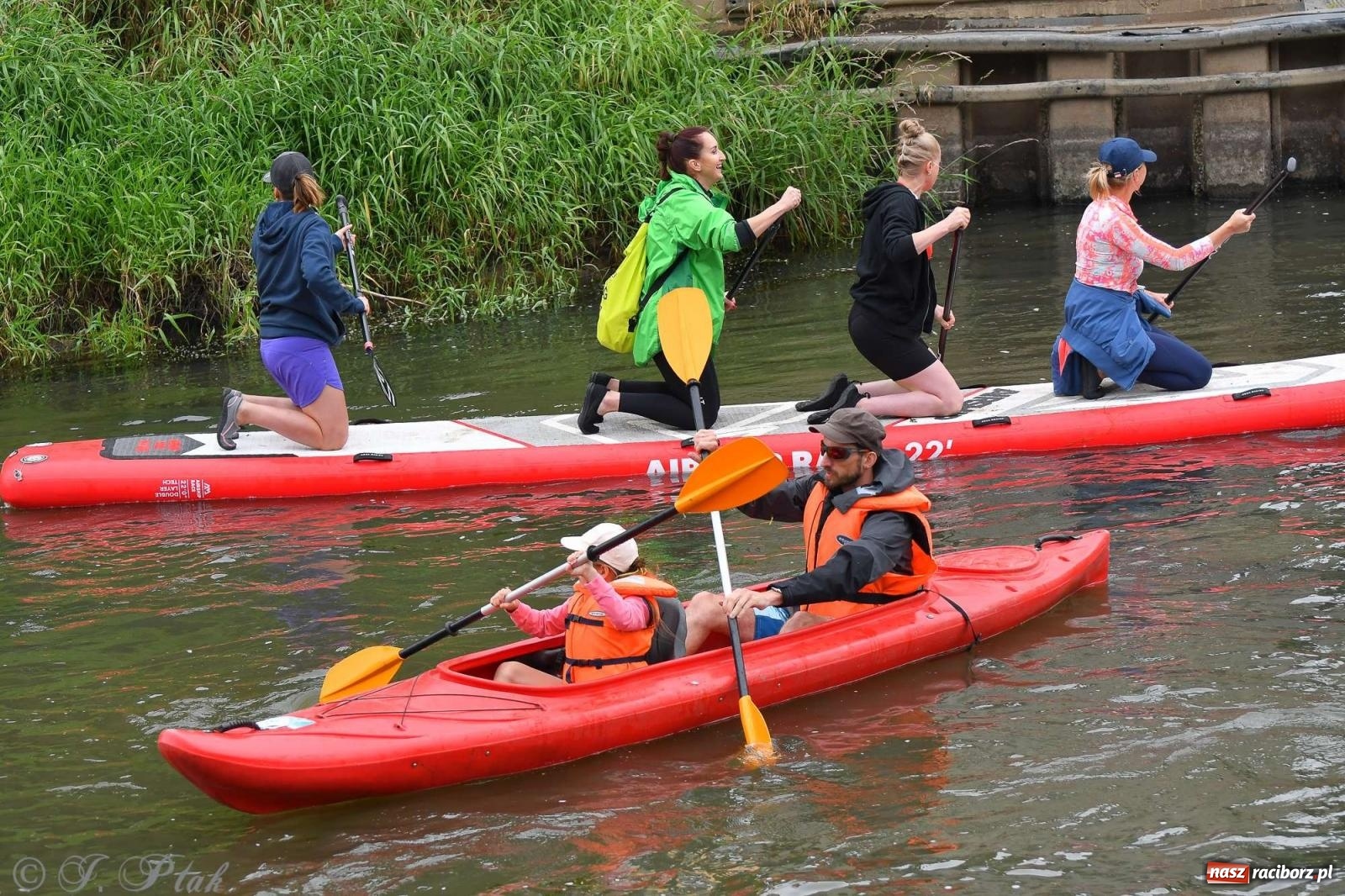 Zdjęcie w galerii na portalu naszraciborz.pl: Morsy, statki i łodzie. Pływadło na bis! wiadomości z regionu