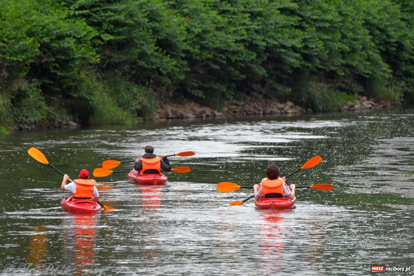 Zdjęcie w galerii na portalu naszraciborz.pl: Morsy, statki i łodzie. Pływadło na bis! wiadomości z regionu