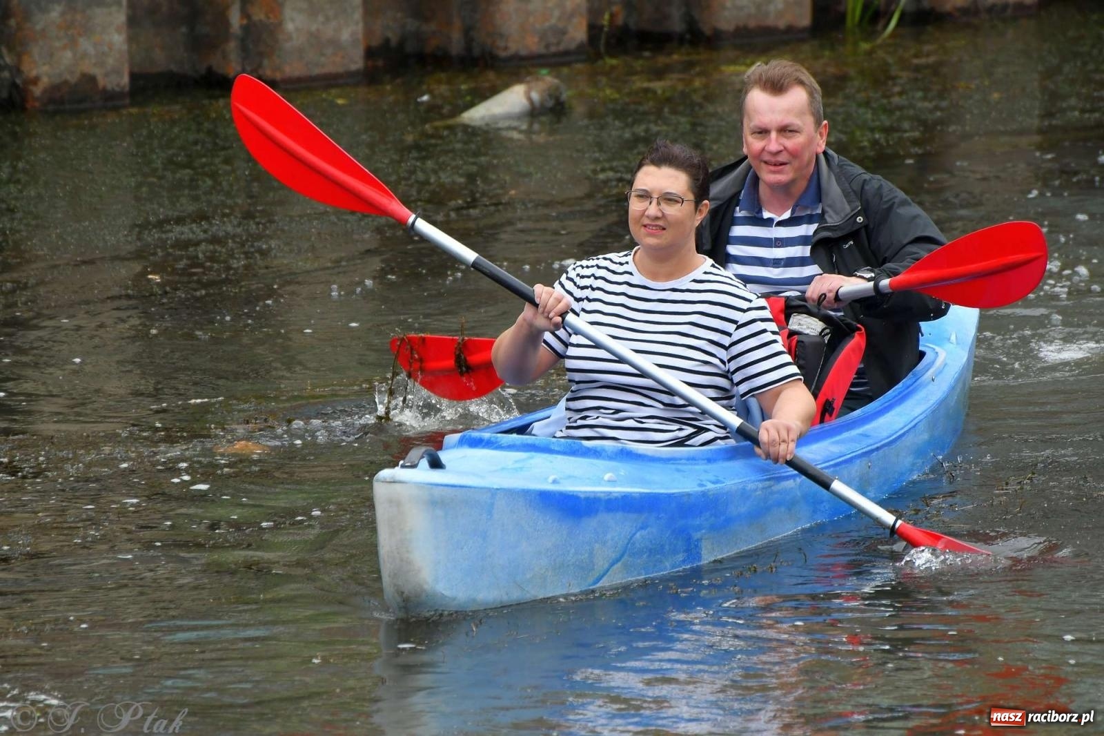 Zdjęcie w galerii na portalu naszraciborz.pl: Morsy, statki i łodzie. Pływadło na bis! wiadomości z regionu