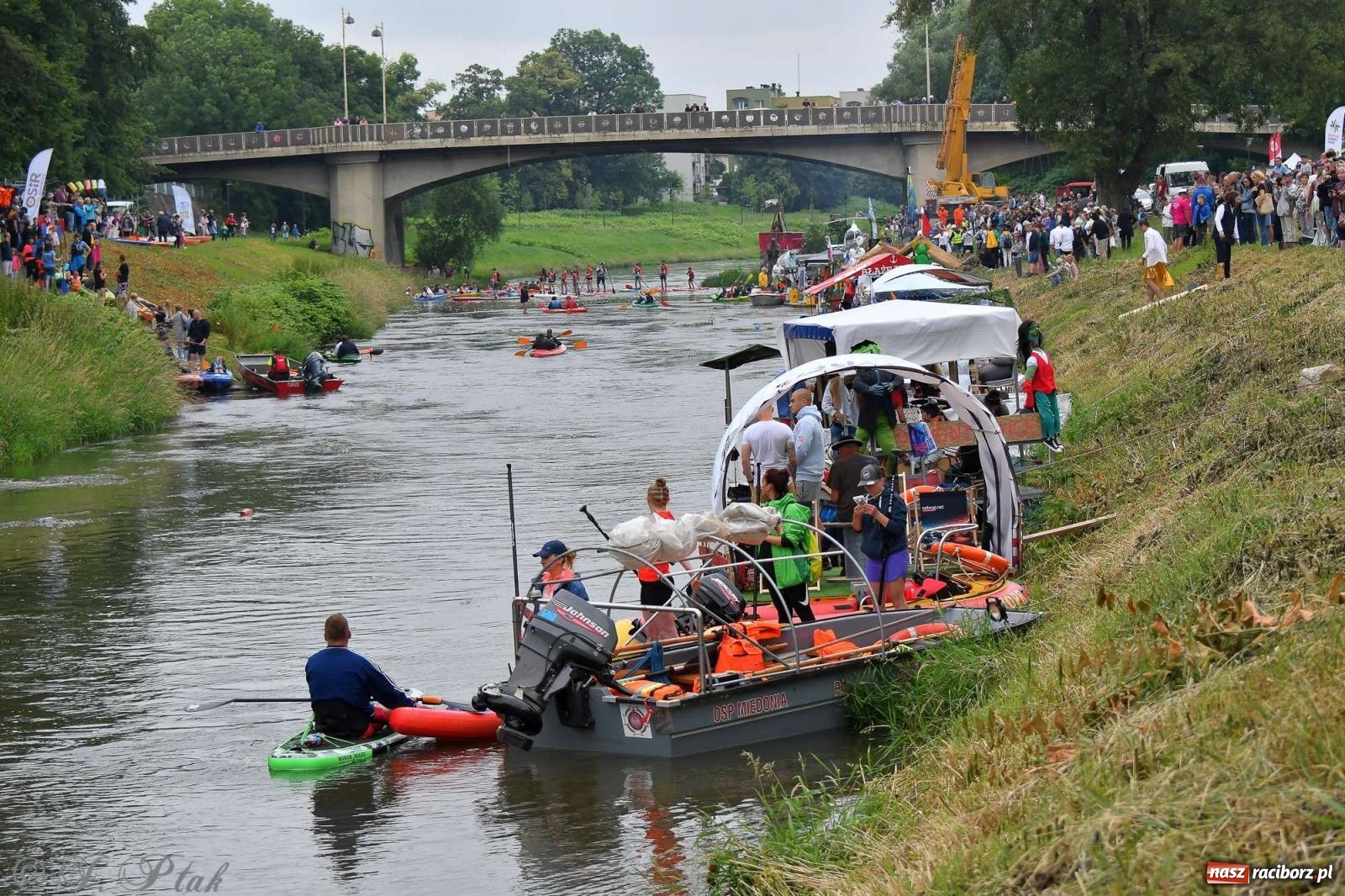 Zdjęcie w galerii na portalu naszraciborz.pl: Morsy, statki i łodzie. Pływadło na bis! wiadomości z regionu