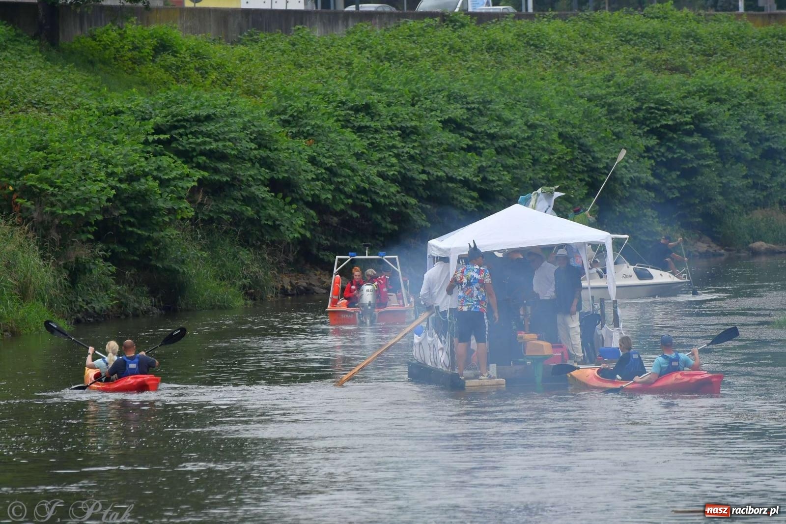 Zdjęcie w galerii na portalu naszraciborz.pl: Morsy, statki i łodzie. Pływadło na bis! wiadomości z regionu