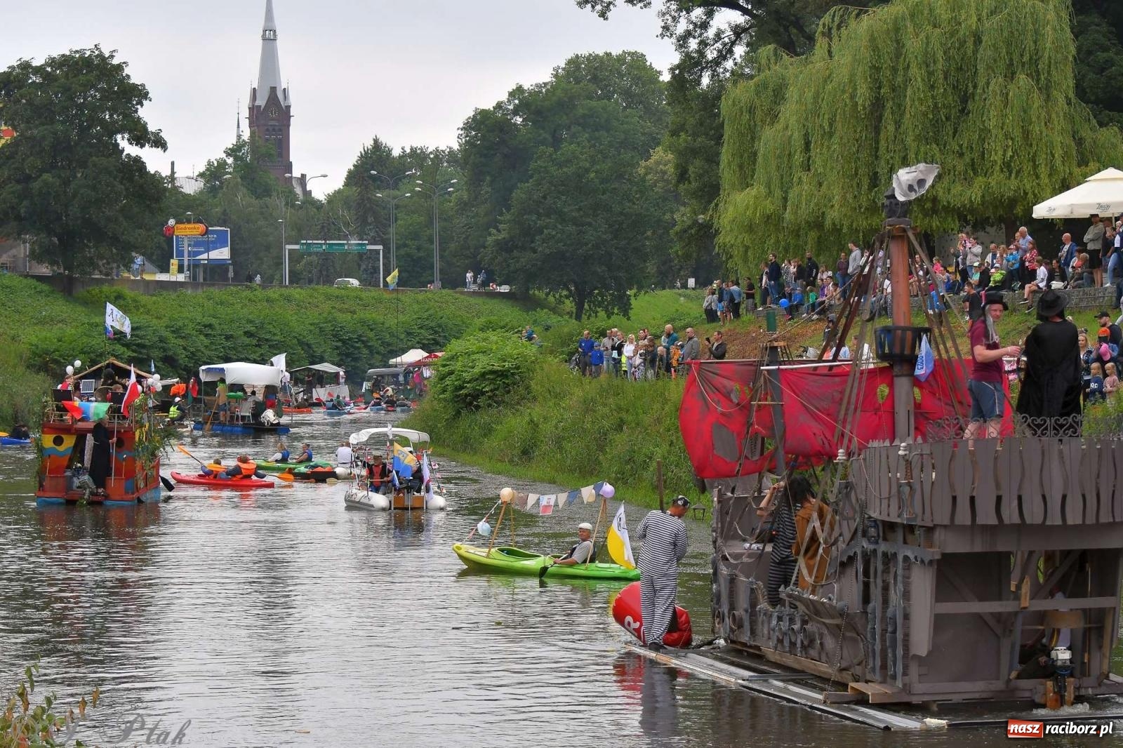 Zdjęcie w galerii na portalu naszraciborz.pl: Morsy, statki i łodzie. Pływadło na bis! wiadomości z regionu