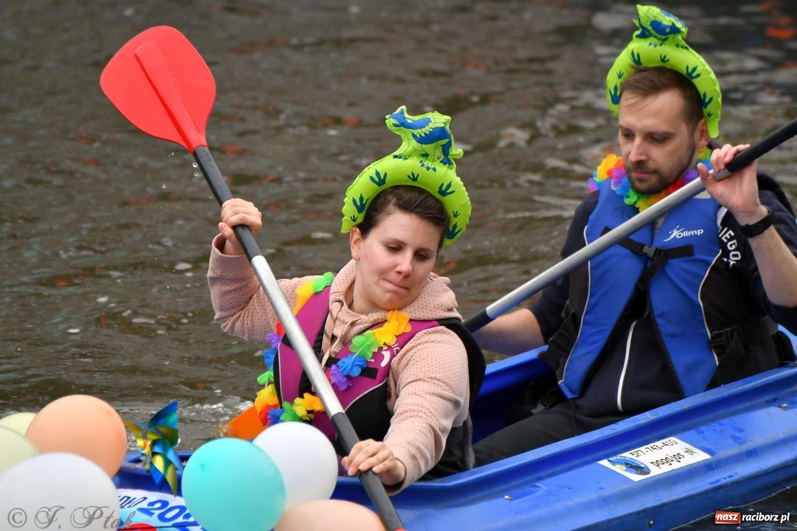 Zdjęcie w galerii na portalu naszraciborz.pl: Morsy, statki i łodzie. Pływadło na bis! wiadomości z regionu