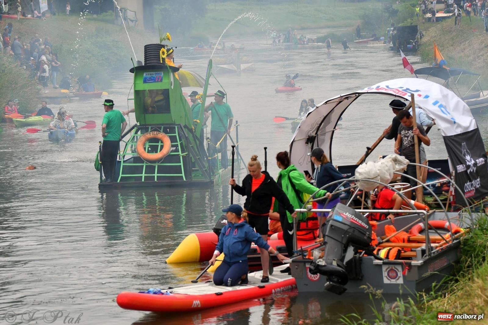 Zdjęcie w galerii na portalu naszraciborz.pl: Morsy, statki i łodzie. Pływadło na bis! wiadomości z regionu