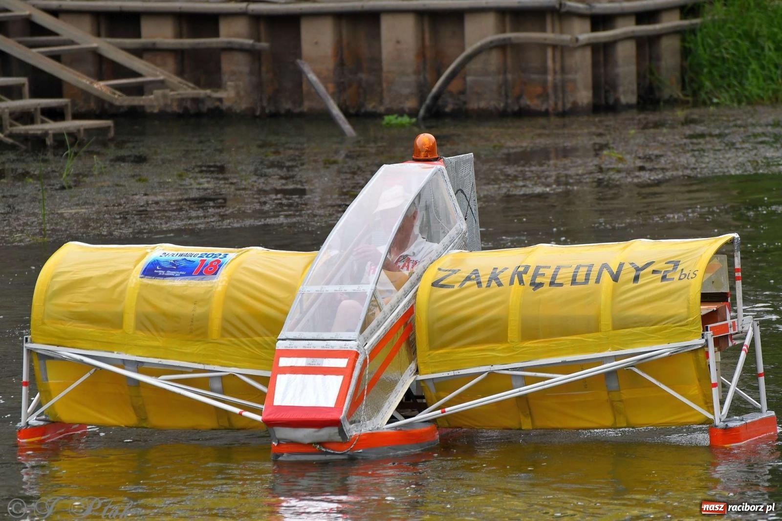 Zdjęcie w galerii na portalu naszraciborz.pl: Morsy, statki i łodzie. Pływadło na bis! wiadomości z regionu