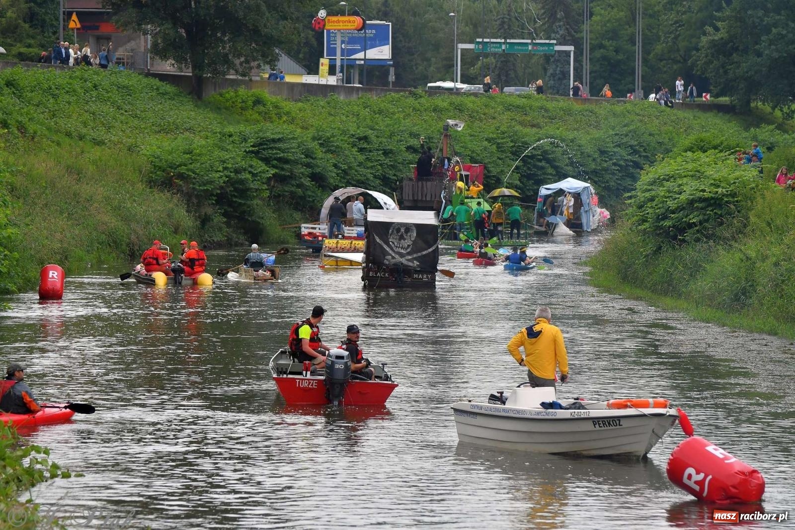 Zdjęcie w galerii na portalu naszraciborz.pl: Morsy, statki i łodzie. Pływadło na bis! wiadomości z regionu