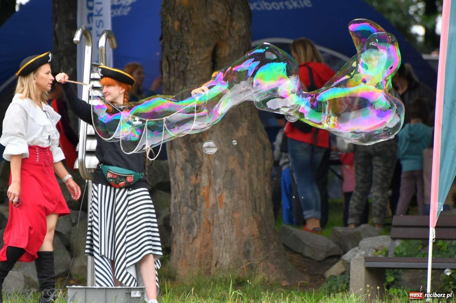 Zdjęcie w galerii na portalu naszraciborz.pl: Morsy, statki i łodzie. Pływadło na bis! wiadomości z regionu