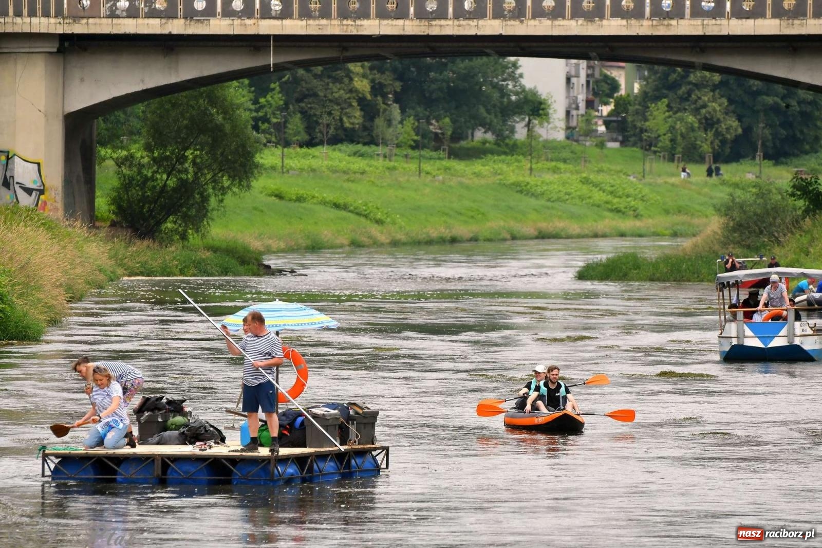 Zdjęcie w galerii na portalu naszraciborz.pl: Morsy, statki i łodzie. Pływadło na bis! wiadomości z regionu