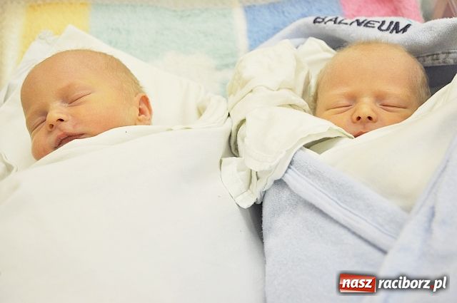 Zdjęcie w galerii na portalu naszraciborz.pl: Podwójne szczęście państwa Łuczaków wiadomości z regionu