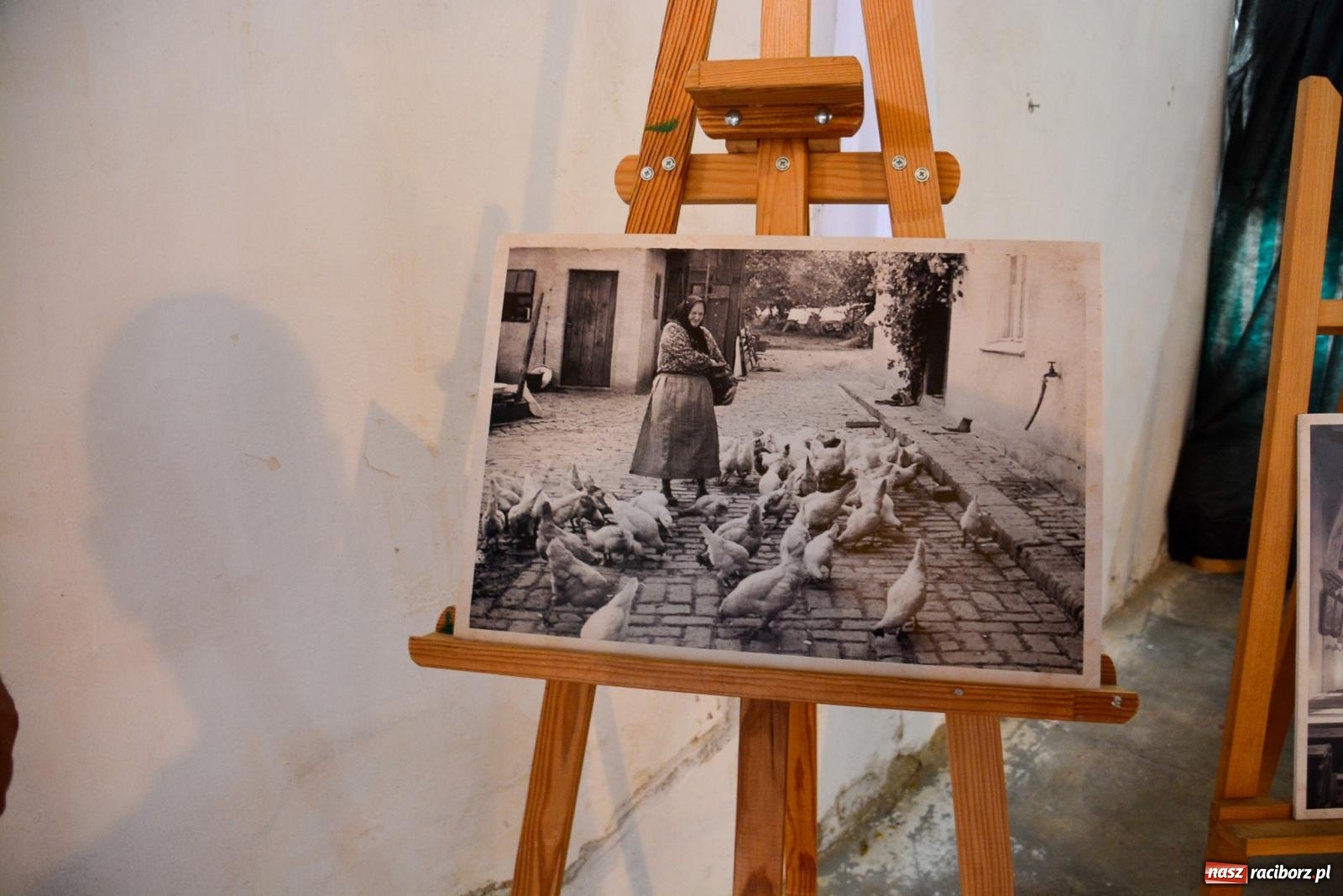 Zdjęcie w galerii na portalu naszraciborz.pl: Dąb papieski i kapsuła czasu. Gamów świętuje 800-lecie [FOTO i WIDEO] wiadomości z regionu