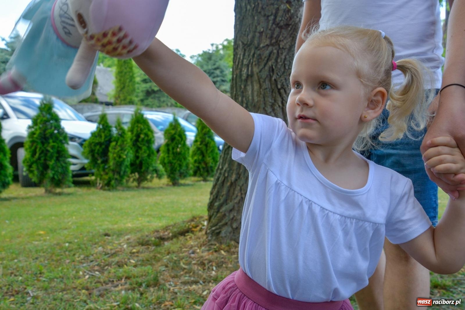 Zdjęcie w galerii na portalu naszraciborz.pl: Dąb papieski i kapsuła czasu. Gamów świętuje 800-lecie [FOTO i WIDEO] wiadomości z regionu