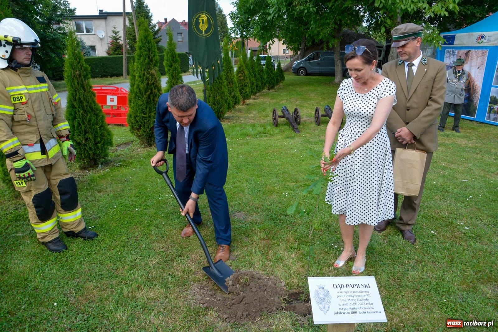 Zdjęcie w galerii na portalu naszraciborz.pl: Dąb papieski i kapsuła czasu. Gamów świętuje 800-lecie [FOTO i WIDEO] wiadomości z regionu