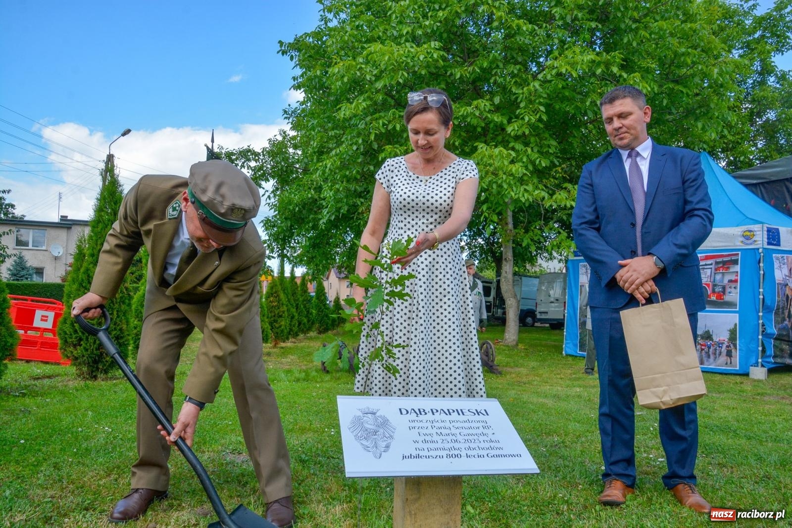 Zdjęcie w galerii na portalu naszraciborz.pl: Dąb papieski i kapsuła czasu. Gamów świętuje 800-lecie [FOTO i WIDEO] wiadomości z regionu