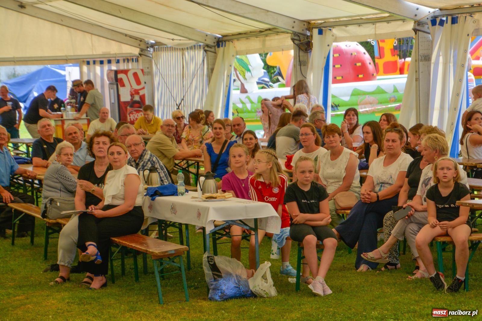 Zdjęcie w galerii na portalu naszraciborz.pl: Dąb papieski i kapsuła czasu. Gamów świętuje 800-lecie [FOTO i WIDEO] wiadomości z regionu