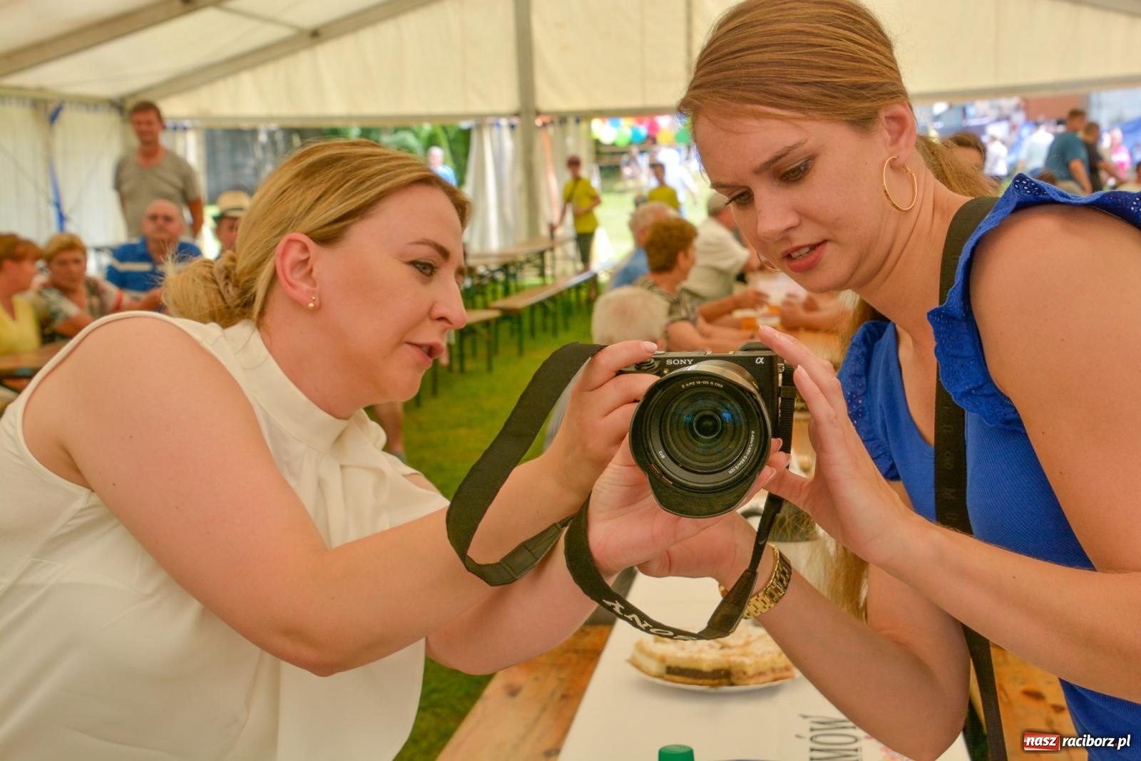 Zdjęcie w galerii na portalu naszraciborz.pl: Dąb papieski i kapsuła czasu. Gamów świętuje 800-lecie [FOTO i WIDEO] wiadomości z regionu