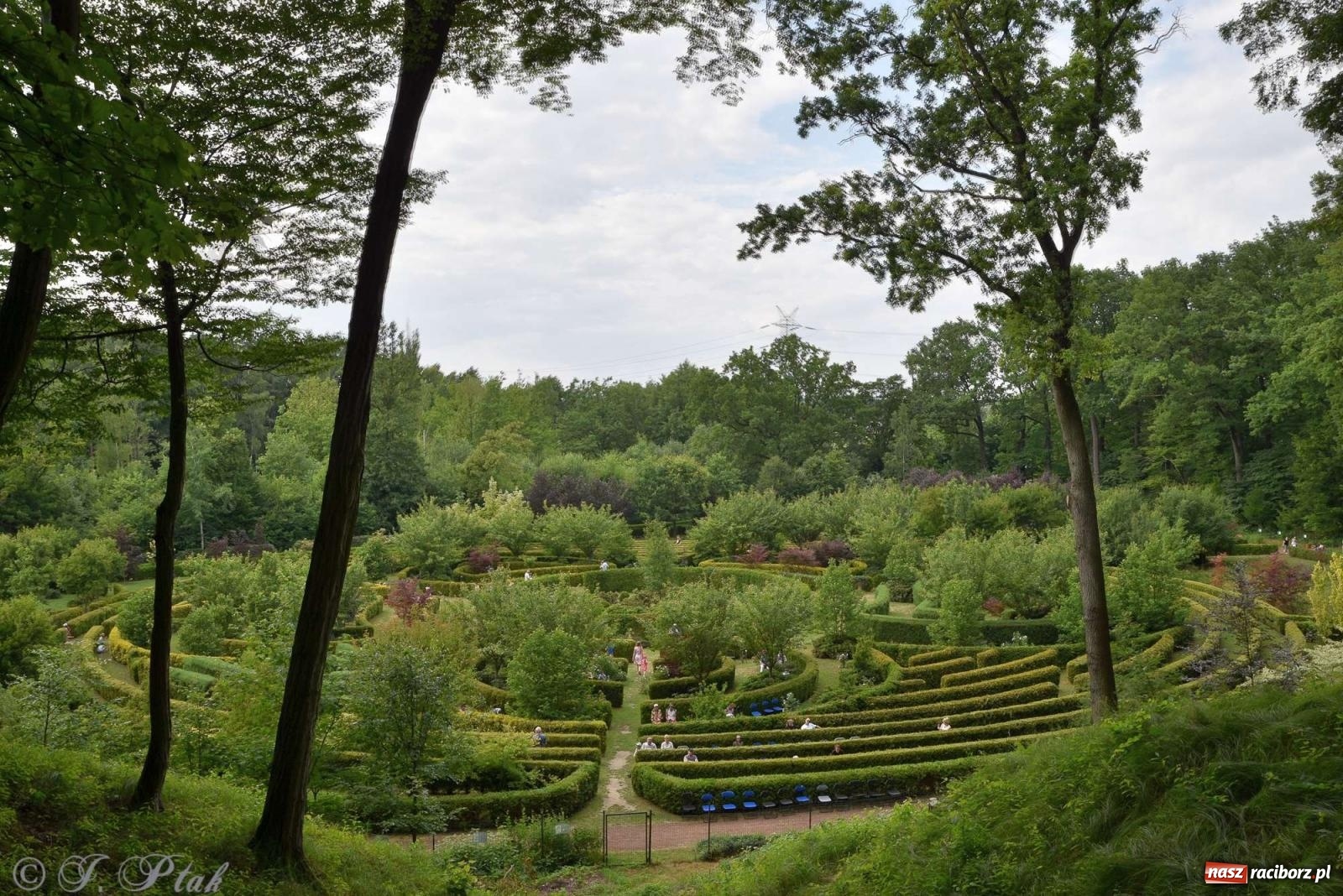 Zdjęcie w galerii na portalu naszraciborz.pl: Golden Classic Trio w Zaczarowanym Ogrodzie [FOTO i WIDEO] wiadomości z regionu