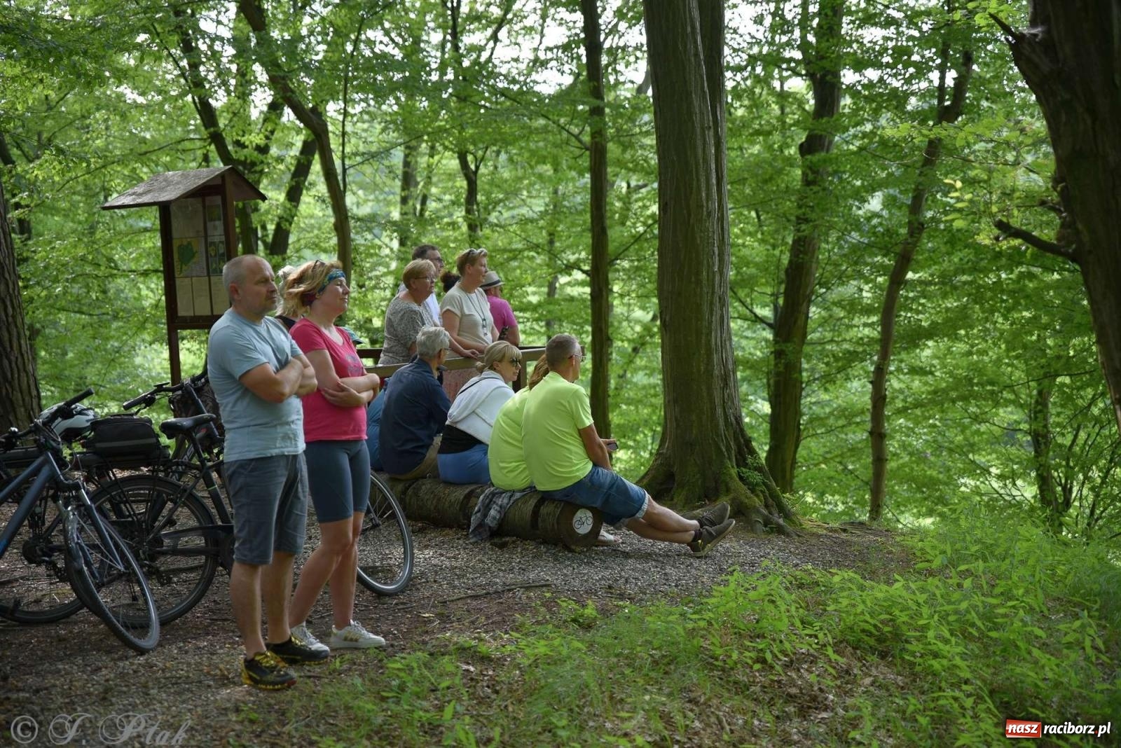 Zdjęcie w galerii na portalu naszraciborz.pl: Golden Classic Trio w Zaczarowanym Ogrodzie [FOTO i WIDEO] wiadomości z regionu