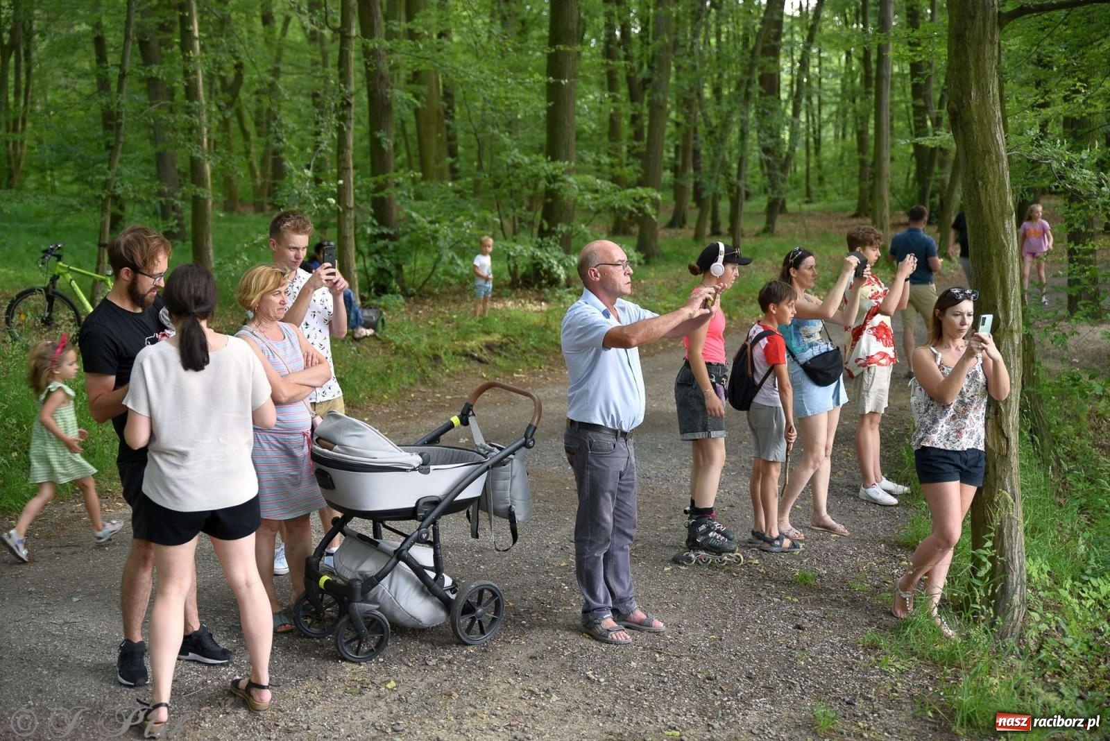 Zdjęcie w galerii na portalu naszraciborz.pl: Golden Classic Trio w Zaczarowanym Ogrodzie [FOTO i WIDEO] wiadomości z regionu