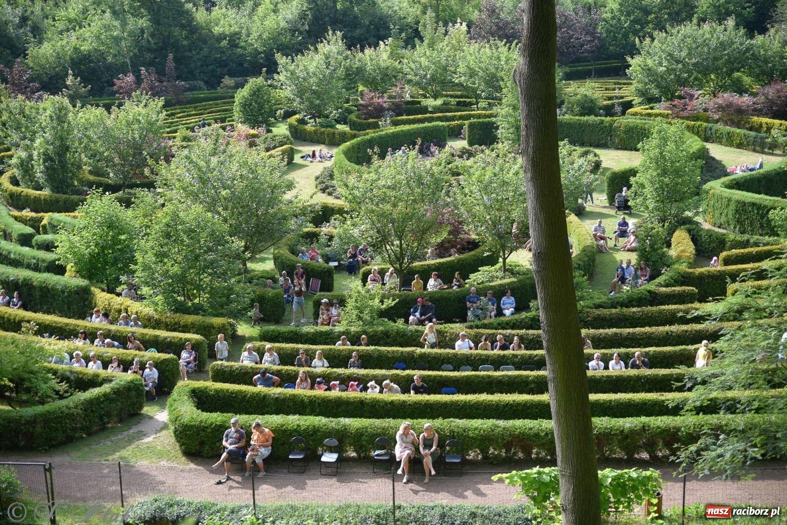 Zdjęcie w galerii na portalu naszraciborz.pl: Golden Classic Trio w Zaczarowanym Ogrodzie [FOTO i WIDEO] wiadomości z regionu