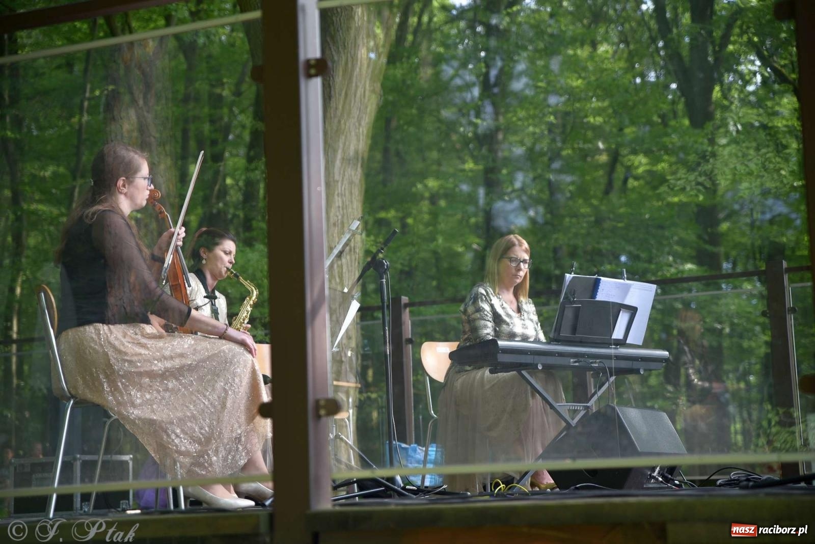 Zdjęcie w galerii na portalu naszraciborz.pl: Golden Classic Trio w Zaczarowanym Ogrodzie [FOTO i WIDEO] wiadomości z regionu