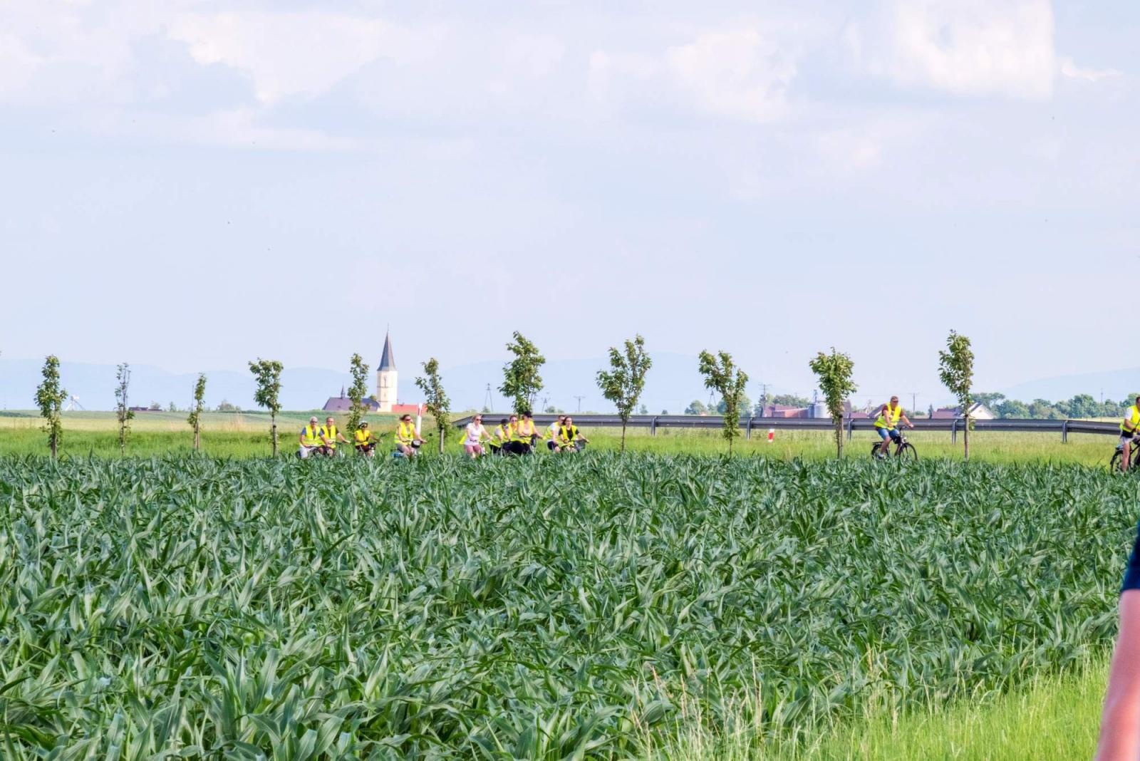 Zdjęcie w galerii na portalu naszraciborz.pl: Polsko-czeski rajd rowerowy szlakiem rodów pogranicza wiadomości z regionu