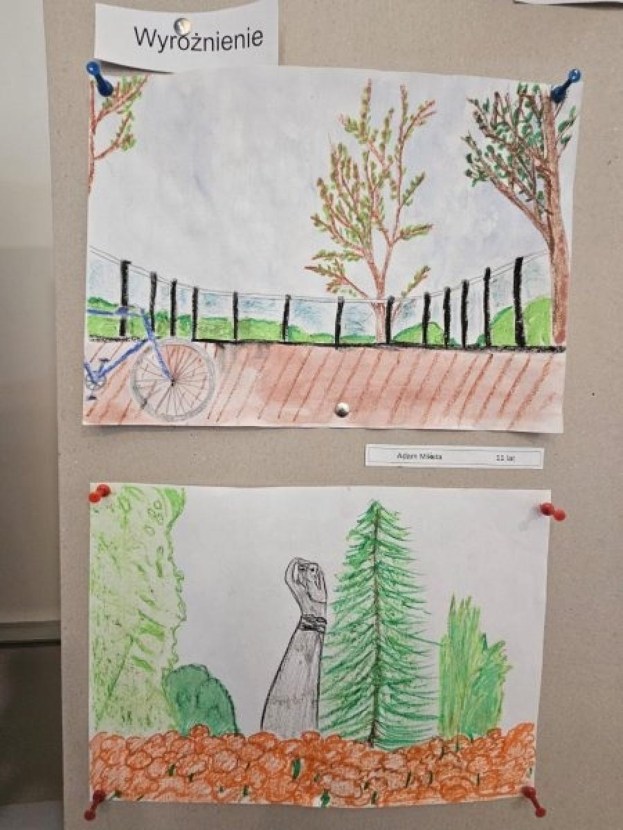 Zdjęcie w galerii na portalu naszraciborz.pl: Rozstrzygnięto konkurs Zielony Racibórz z perspektywy rowerowego siodełka wiadomości z regionu