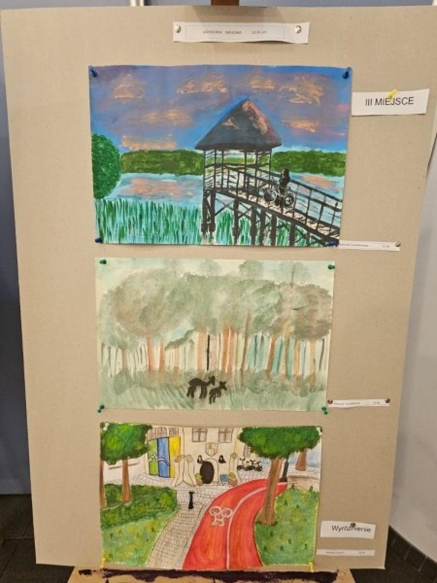 Zdjęcie w galerii na portalu naszraciborz.pl: Rozstrzygnięto konkurs Zielony Racibórz z perspektywy rowerowego siodełka wiadomości z regionu