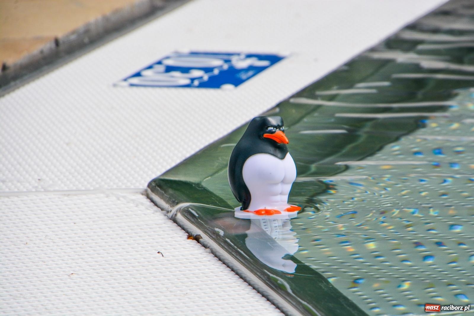 Zdjęcie w galerii na portalu naszraciborz.pl: Kąpielisko w Tworkowie już czynne. To najnowocześniejszy obiekt w powiecie wiadomości z regionu