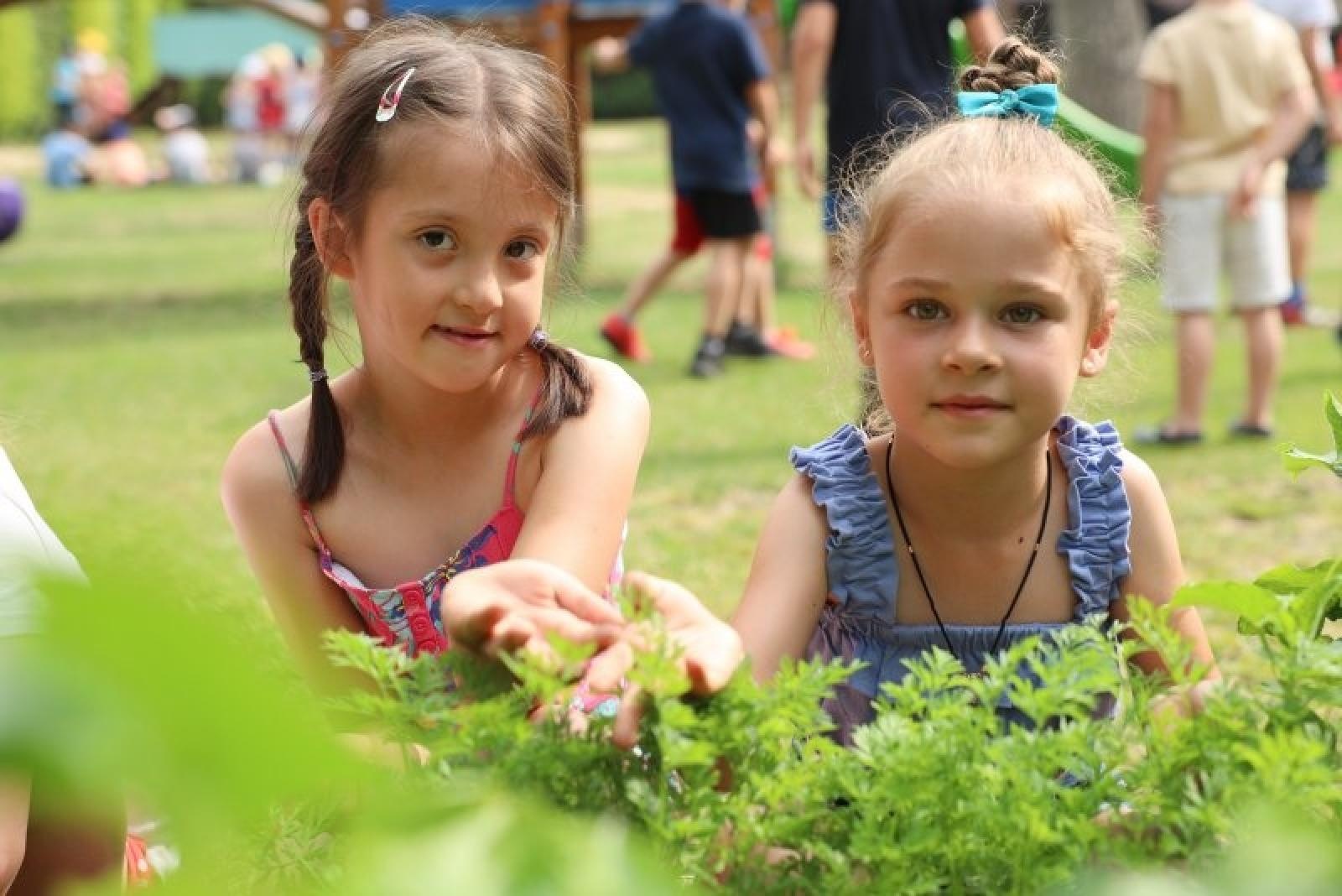 Zdjęcie w galerii na portalu naszraciborz.pl: Pierwsze plony z przedszkolnych warzywników zebrane wiadomości z regionu