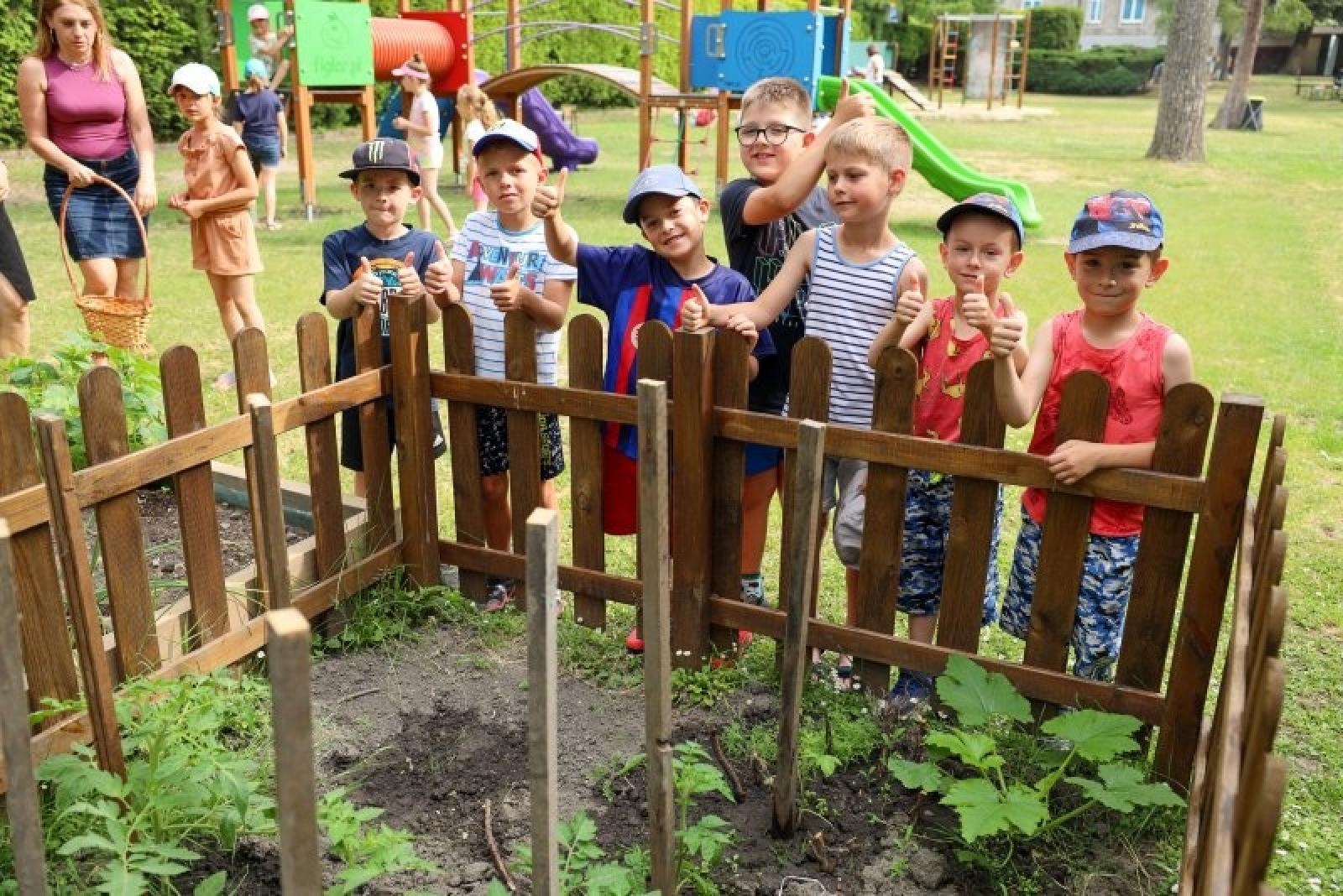 Zdjęcie w galerii na portalu naszraciborz.pl: Pierwsze plony z przedszkolnych warzywników zebrane wiadomości z regionu