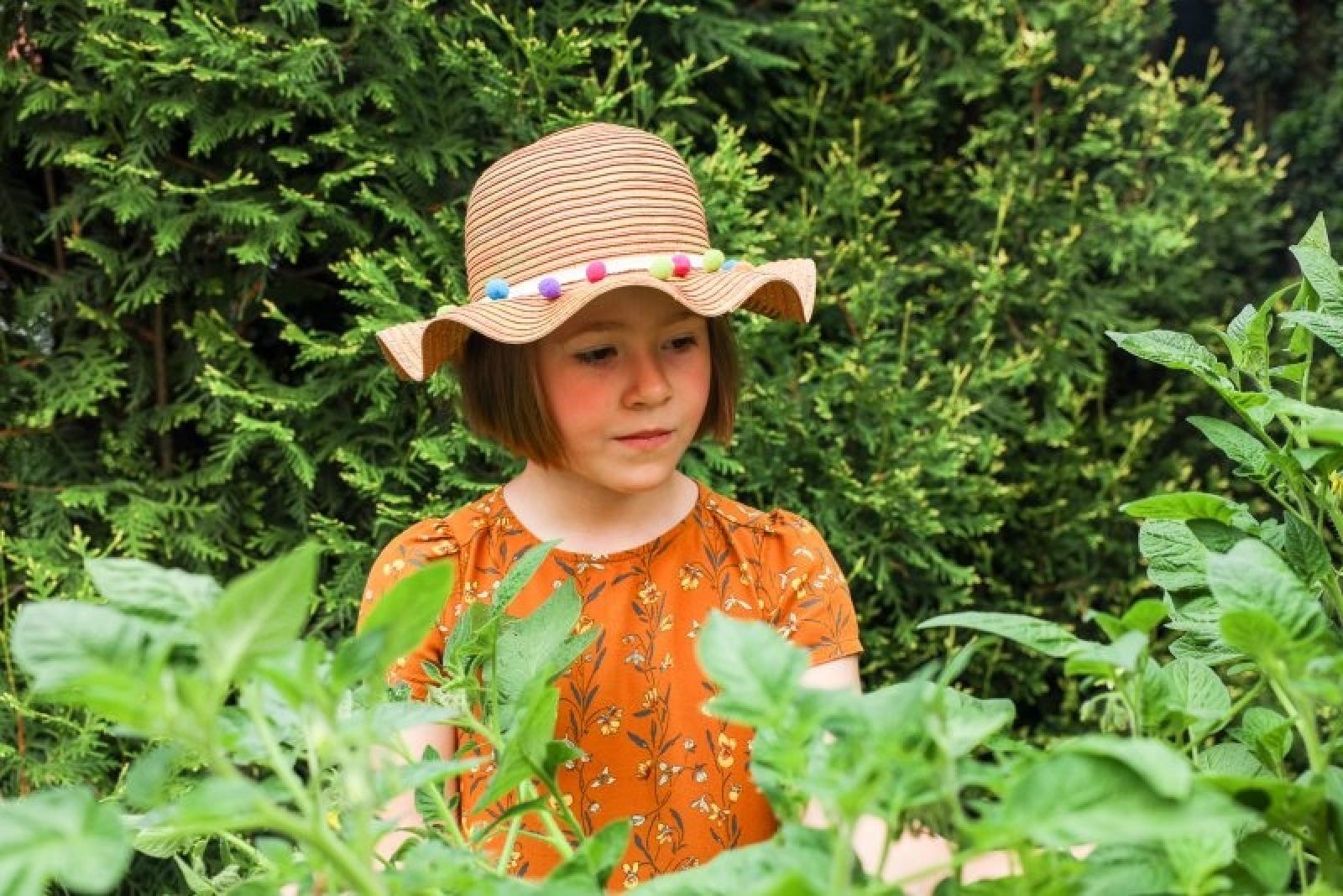 Zdjęcie w galerii na portalu naszraciborz.pl: Pierwsze plony z przedszkolnych warzywników zebrane wiadomości z regionu