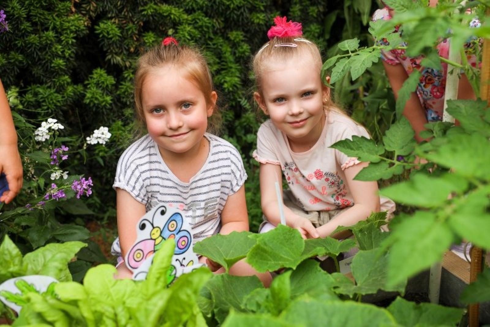 Zdjęcie w galerii na portalu naszraciborz.pl: Pierwsze plony z przedszkolnych warzywników zebrane wiadomości z regionu