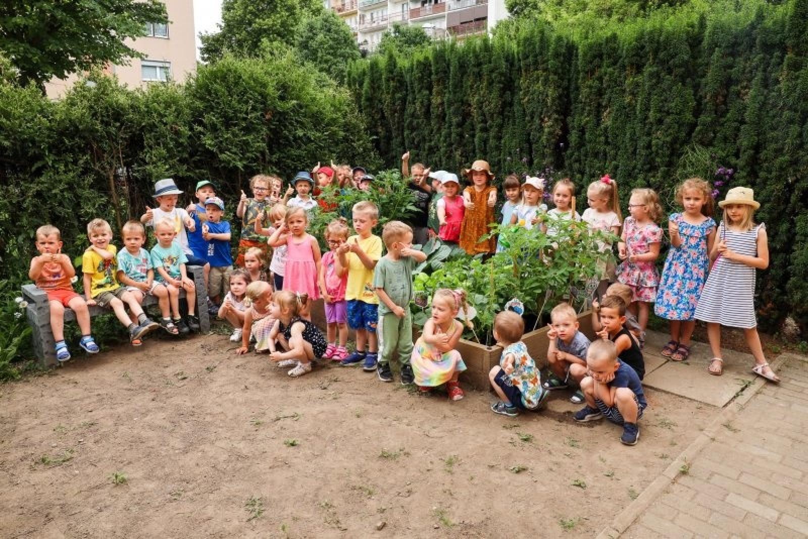 Zdjęcie w galerii na portalu naszraciborz.pl: Pierwsze plony z przedszkolnych warzywników zebrane wiadomości z regionu