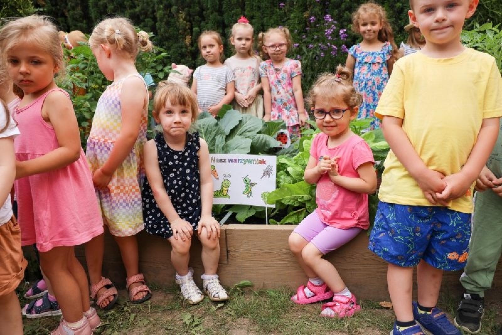 Zdjęcie w galerii na portalu naszraciborz.pl: Pierwsze plony z przedszkolnych warzywników zebrane wiadomości z regionu