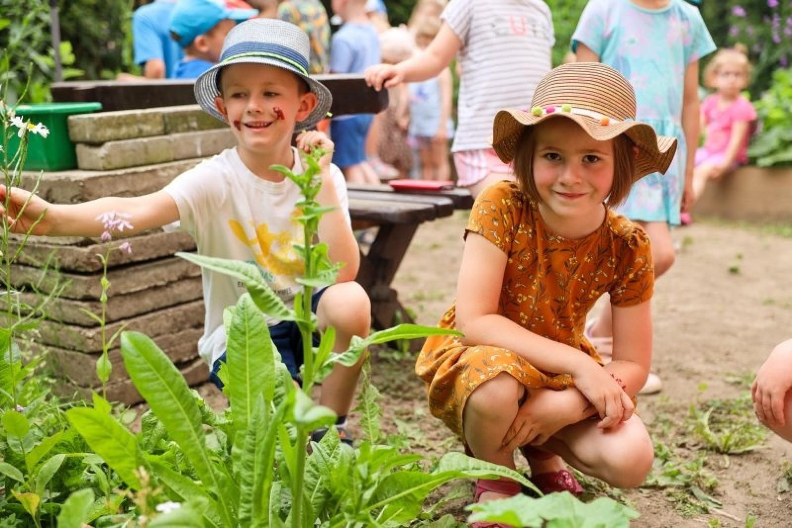 Zdjęcie w galerii na portalu naszraciborz.pl: Pierwsze plony z przedszkolnych warzywników zebrane wiadomości z regionu