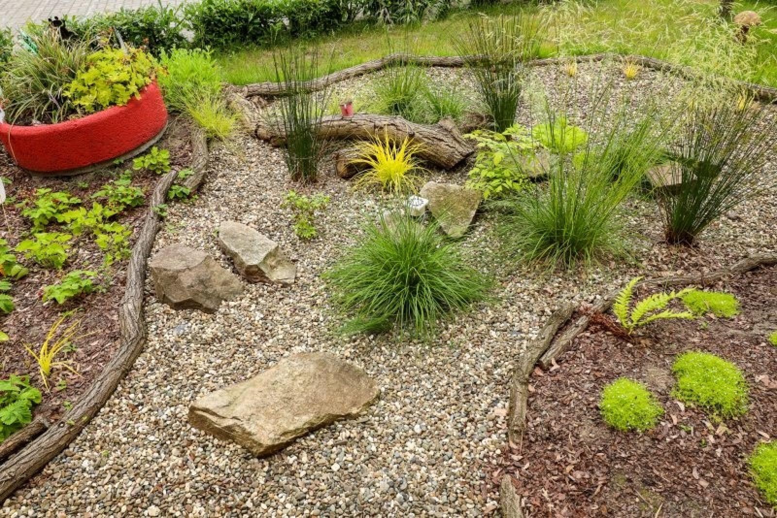 Zdjęcie w galerii na portalu naszraciborz.pl: Pierwsze plony z przedszkolnych warzywników zebrane wiadomości z regionu