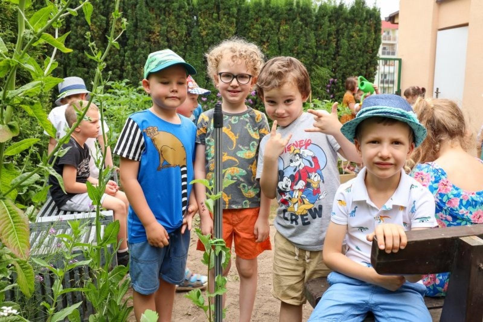 Zdjęcie w galerii na portalu naszraciborz.pl: Pierwsze plony z przedszkolnych warzywników zebrane wiadomości z regionu