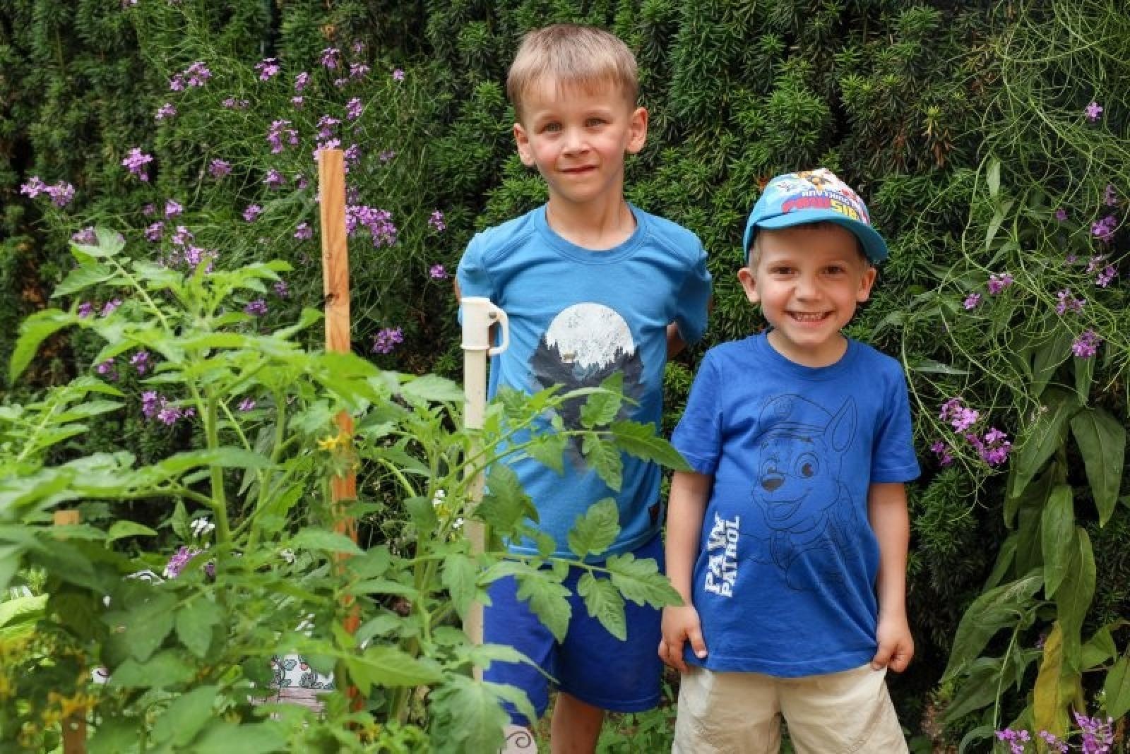 Zdjęcie w galerii na portalu naszraciborz.pl: Pierwsze plony z przedszkolnych warzywników zebrane wiadomości z regionu