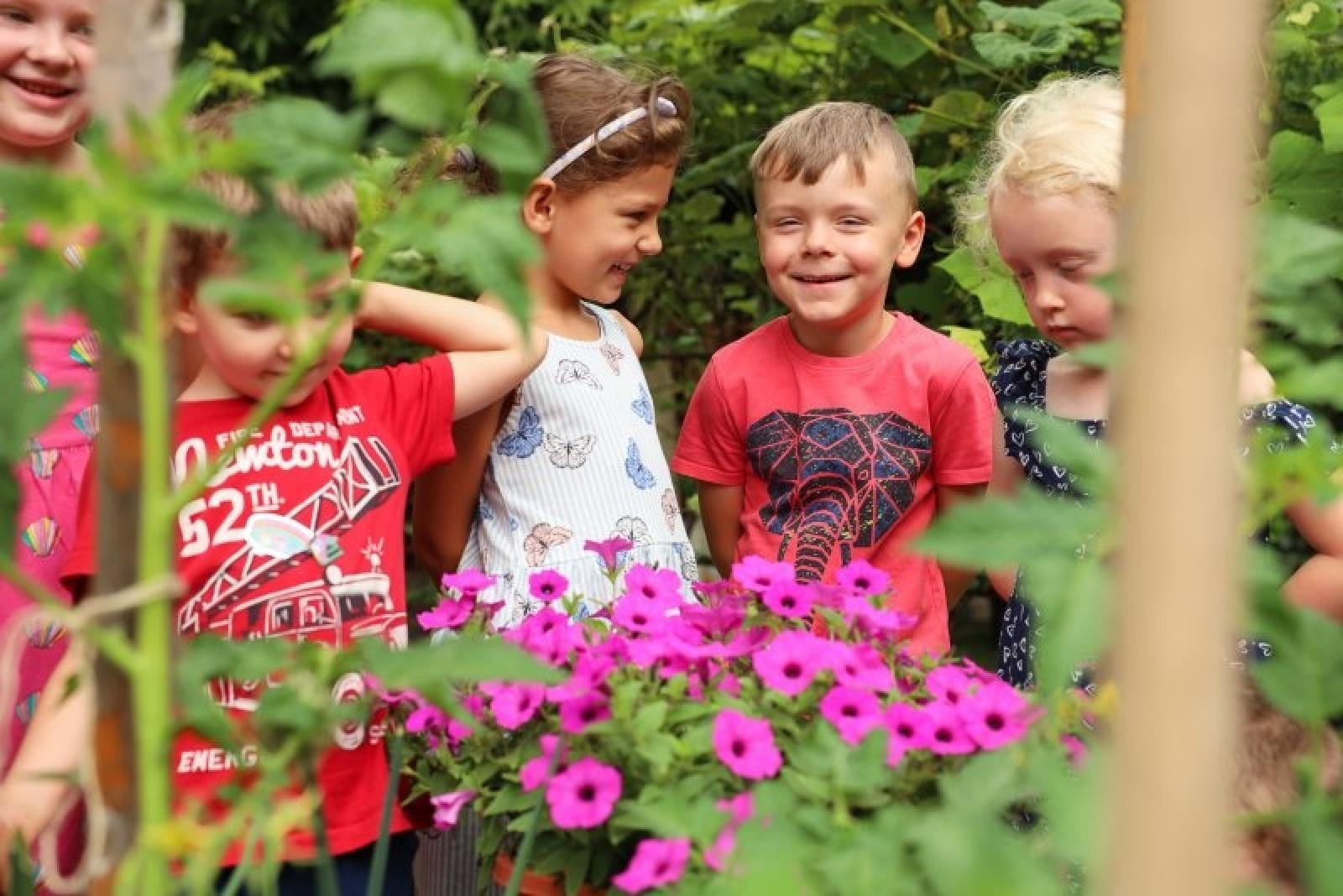 Zdjęcie w galerii na portalu naszraciborz.pl: Pierwsze plony z przedszkolnych warzywników zebrane wiadomości z regionu