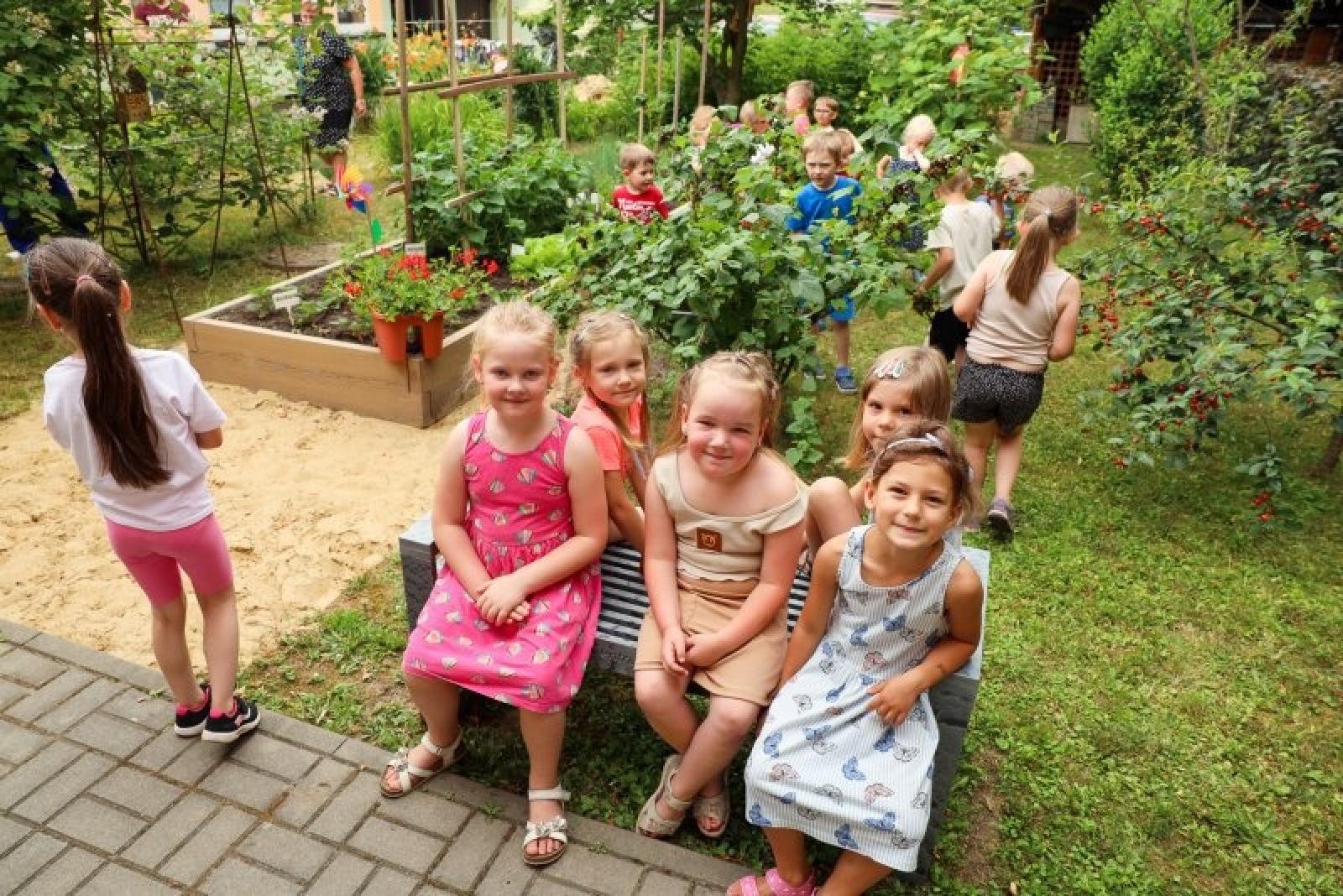 Zdjęcie w galerii na portalu naszraciborz.pl: Pierwsze plony z przedszkolnych warzywników zebrane wiadomości z regionu