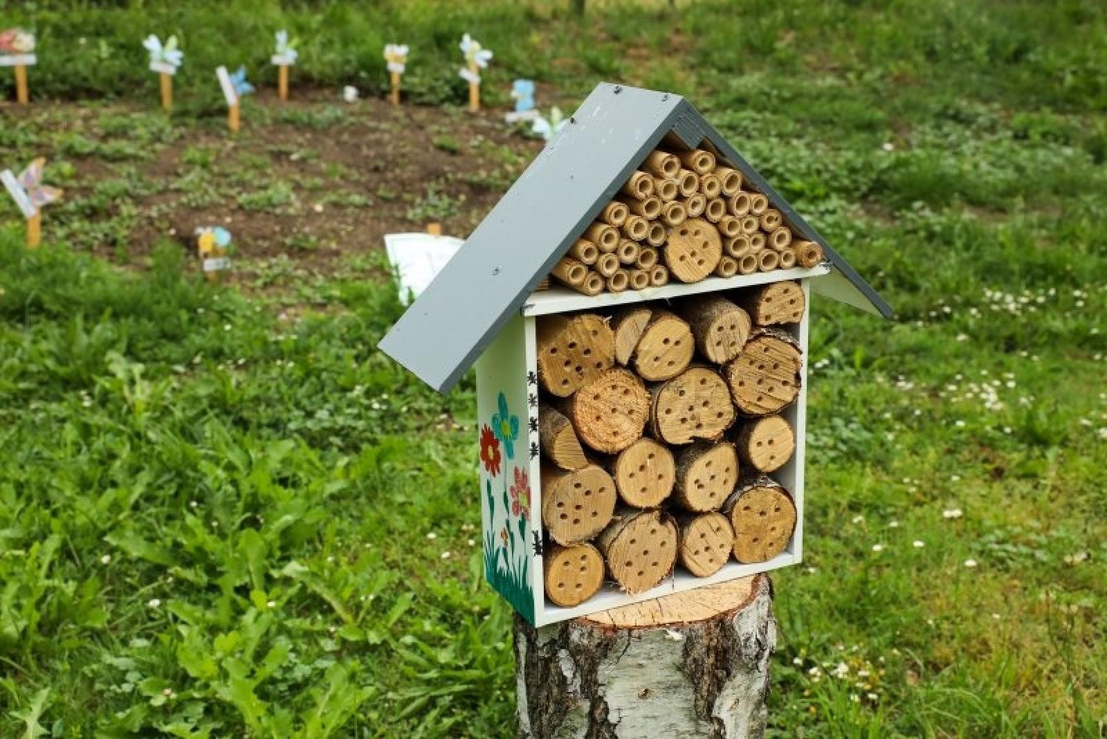 Zdjęcie w galerii na portalu naszraciborz.pl: Pierwsze plony z przedszkolnych warzywników zebrane wiadomości z regionu